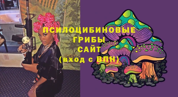 бутират Алапаевск