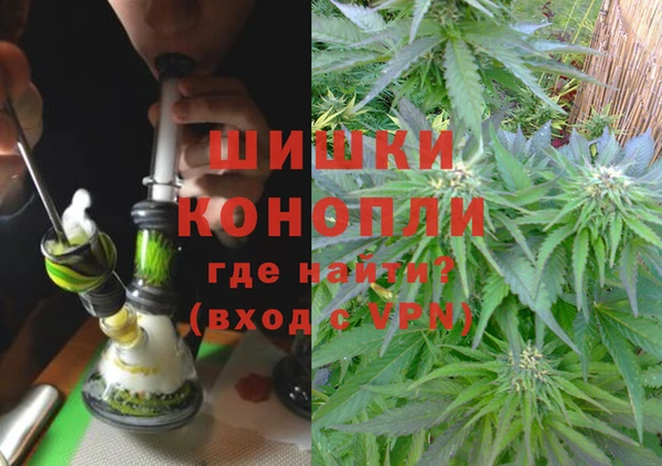 прущие крисы Алагир
