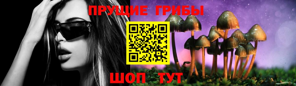 Псилоцибиновые грибы Magic Shrooms  Галлюциногенные грибы Cubensis  Воткинск 